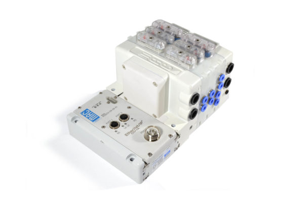 BVIQ01